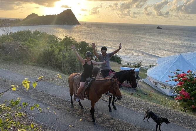 2 Hour Horseback Riding Sunset Tour with Dore's Riding Stable - Why the beach swim is the real highlight