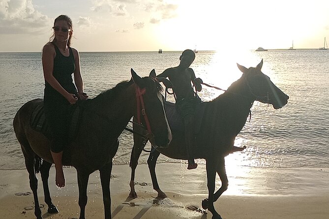 2 Hour Horseback Riding Sunset Tour with Dore's Riding Stable - The horses, the foals, and Silver