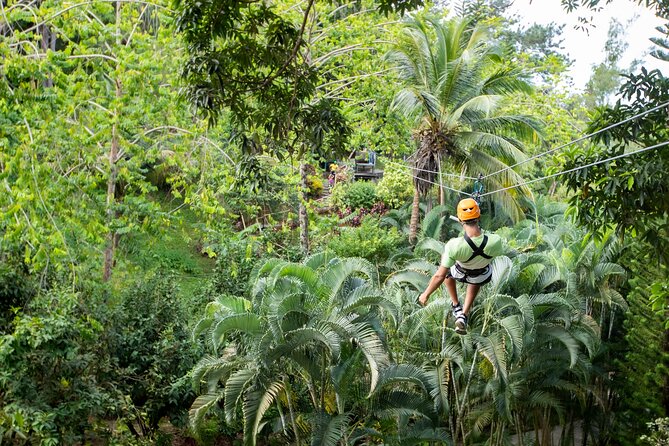 Adrena-Line Zipline, St. Lucia - The Tarzan swing is the course’s change of pace