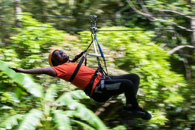 Adrena-Line Zipline, St. Lucia - Guides, safety, and the first-time experience
