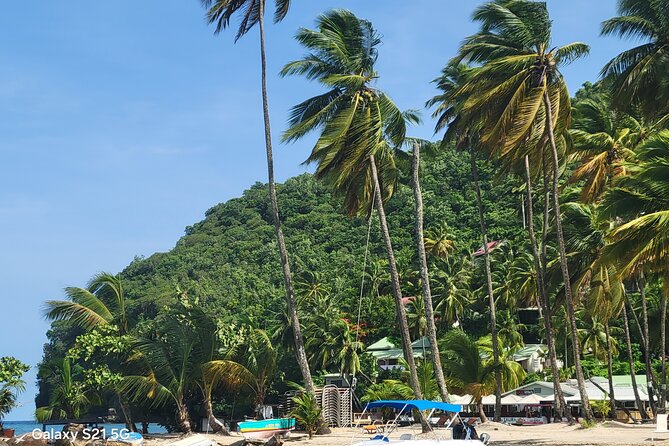 All-Inclusive Land And Sea Excursion - Who will get the most from this tour