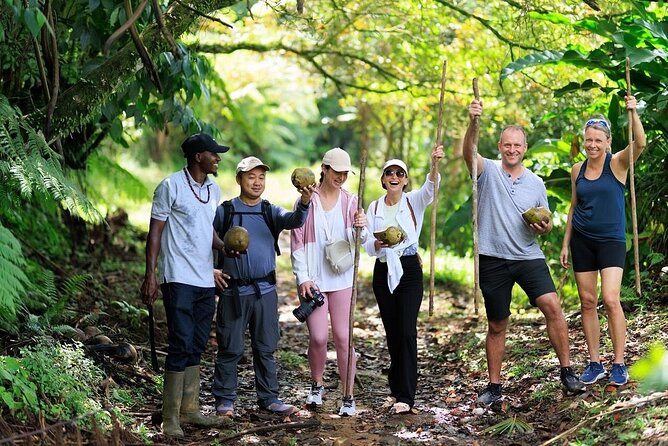 ATV Rainforest Adventure in St. Lucia - From Belle Plaine to St. Lucia’s backcountry