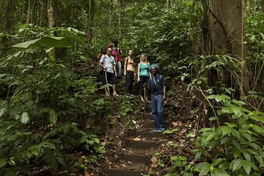 Babonneau/Castries: Rainforest Zip Line, Tram, and Hike Tour - Key points at a glance