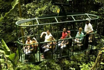 Babonneau/Castries: Rainforest Zip Line, Tram, and Hike Tour