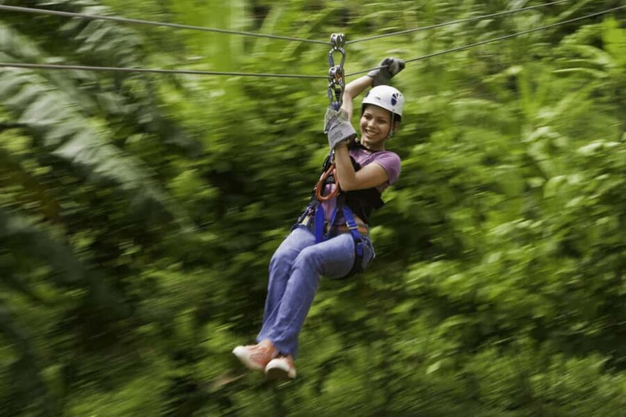 Babonneau/Castries: Rainforest Zip Line, Tram, and Hike Tour - The guided hike gives the forest a voice