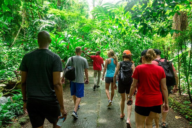 Best of Both Worlds Land and Sea Adventure - Diamond Botanical Gardens and Diamond Falls