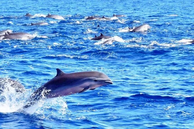 Best Of Full-Day Snorkeling & Beach Excursion with lunch & drinks - The optional land and sea combination