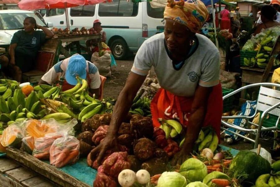 Castries: Guided City Architecture and Castries Market Tour - Castries Central Market: the tour’s most useful stop