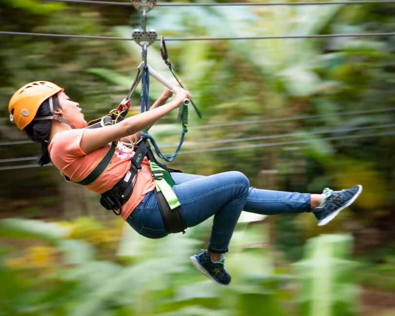 Castries, St. Lucia - Adrenaline Zipline - Should you book the Adrena-Line Zipline?
