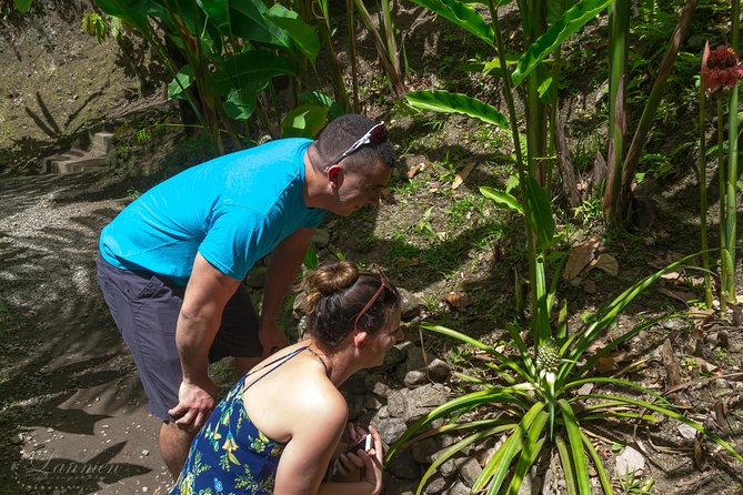 Couples Private St. Lucia Highlights Tour - La Soufriere Drive-In Volcano is the day’s big finish