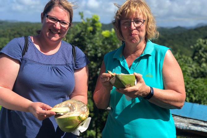 Cruise Excursions in St. Lucia - What the private vehicle changes