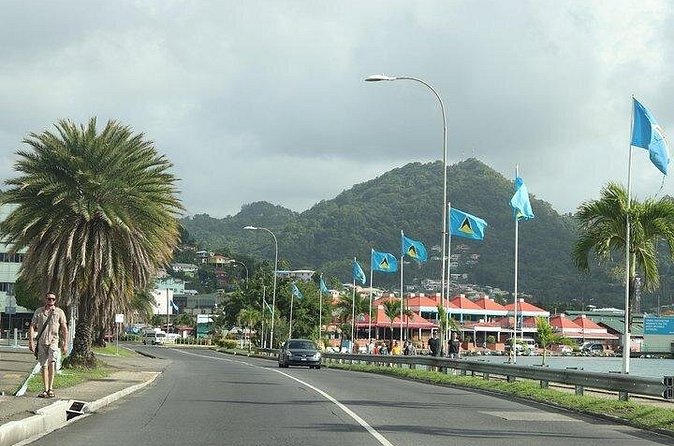 Cruise Ship - On Island for a Day Excursion - Diamond Falls Botanical Gardens in 30 minutes