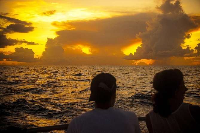 Cruise Sunset Party in Castries - Champagne, rum punch, and a plate of island-style bites