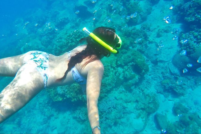 Dash and Splash Snorkel Adventure St Lucia - What to bring and how to prepare