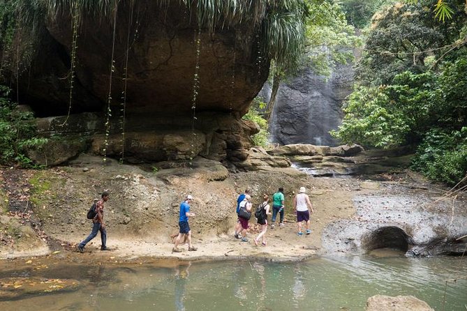 Day of Adventure - Zipline and Hike or Bike - Twelve lines through St. Lucia’s rainforest