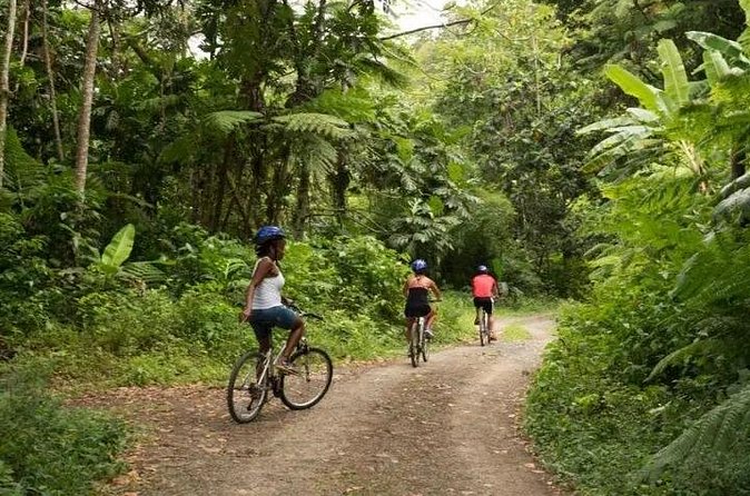 Day of Adventure - Zipline and Hike or Bike - Choosing the waterfall hike