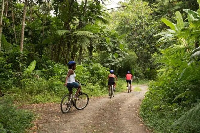 Day of Adventure - Zipline and Hike or Bike - Choosing the rainforest cycling adventure