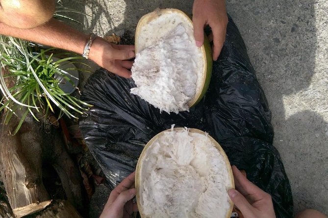 DIY Craft Your Own wooden Bowl : from a calabash fruit! - Meeting Mel and Ekie beyond the craft