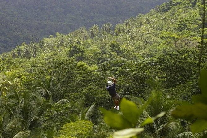 Drive and Fly - Buggy and Zipline - Key points at a glance