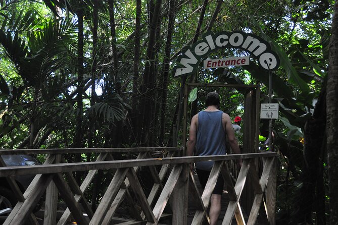 Drive and Fly - Buggy and Zipline - Who will get the most from this outing?