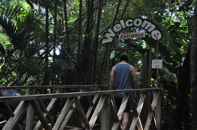 Drive and Fly - Buggy and Zipline - Booking details worth knowing