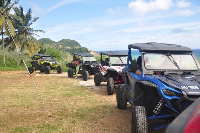 Drive and Fly - Buggy and Zipline - Entering the Treetop Adventure Park