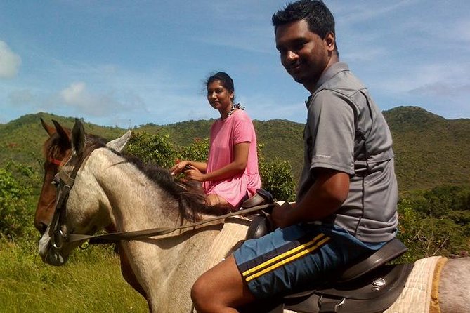 East Coast Horseback Riding & Waterfall Excursion - The horses and the actual riding pace