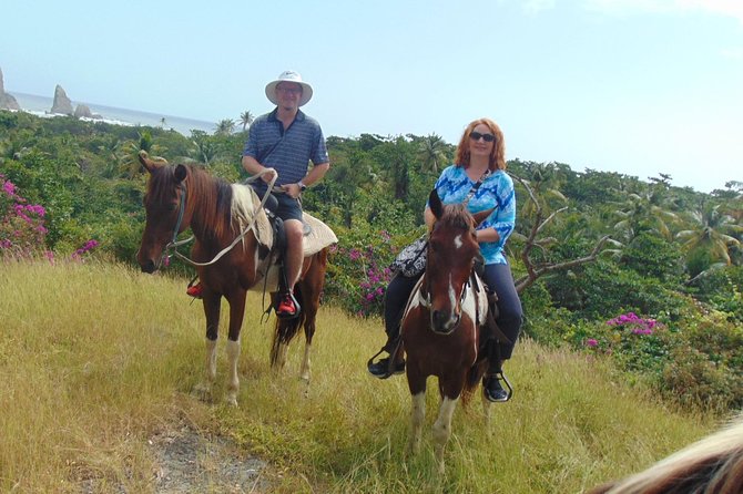 East Coast Horseback Riding & Waterfall Excursion - Is the $160 price fair?