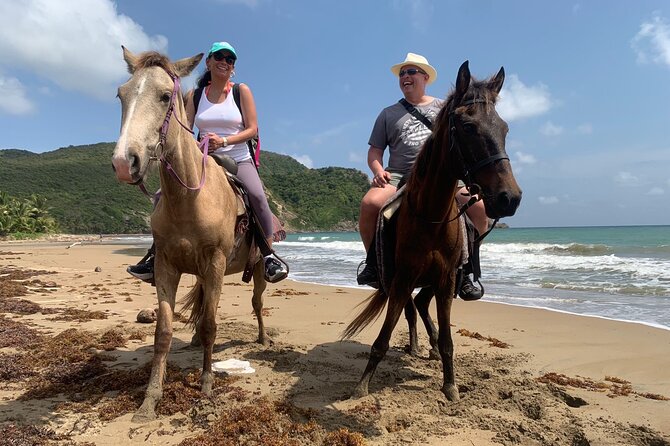 East Coast Horseback Riding, Waterfall & Soufriere Private Tour - Why this St Lucia combination works