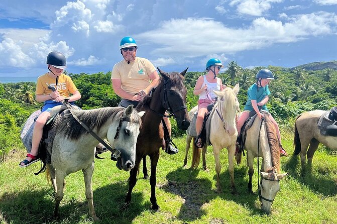 East Coast Horseback Riding, Waterfall & Soufriere Private Tour - Is $240 per person good value?