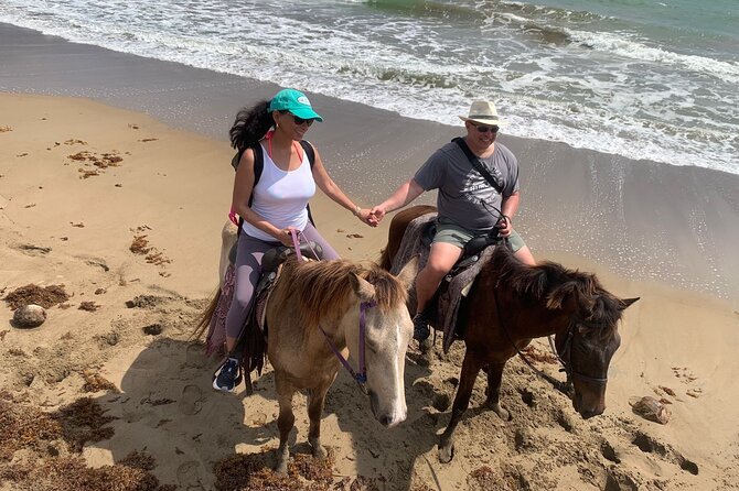 East Coast Horseback Riding, Waterfall & Soufriere Private Tour - Who should book this experience?