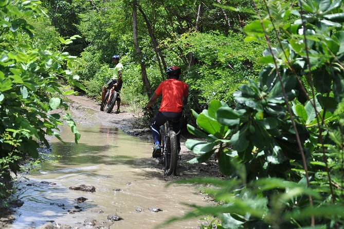 Extreme Outback Tour in St Lucia - Trading a beach chair for a fat bike