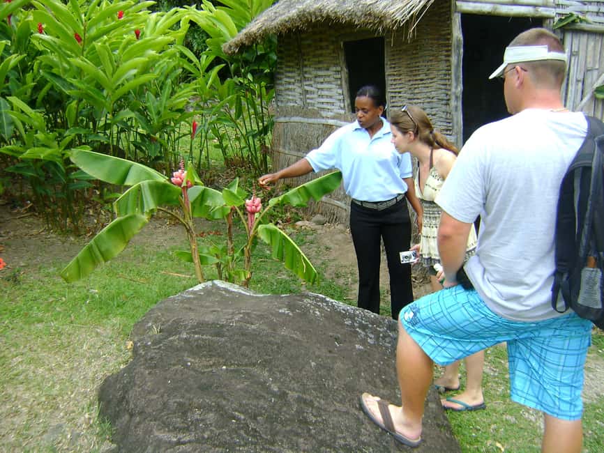 From Castries: Full-Day Catamaran Tour to Soufriere - Who should book this catamaran tour?