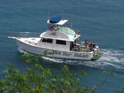 From Castries: St. Lucia Scuba Diving Excursion