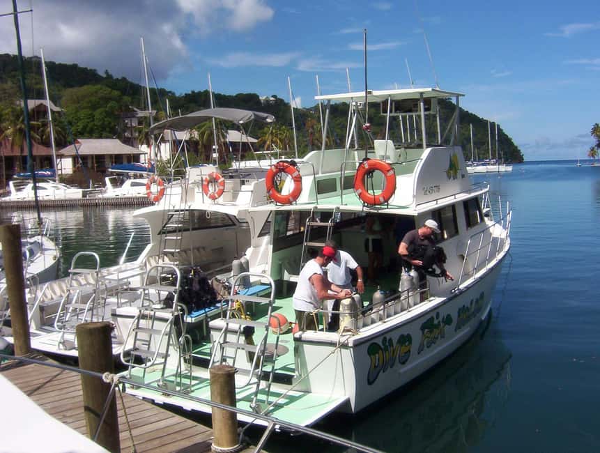 From Castries: St. Lucia Scuba Diving Excursion - Soufriere: walls and drift sessions