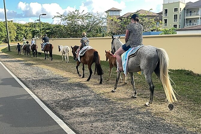 Gros Islet Village Horseback Riding run with Dore's riding Stable - What the small group size means