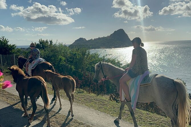 Gros Islet Village Horseback Riding run with Dore's riding Stable - Pigeon Pointe Beach and the road to Gros Islet