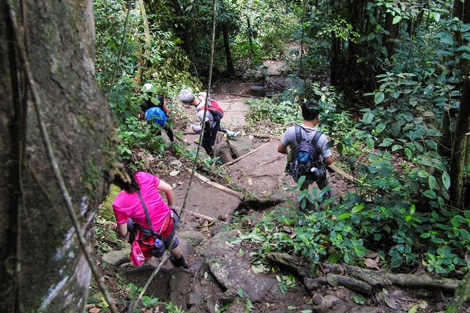 Gros Piton Hiking Adventure - Fond Gens Libre: plants, birds, and a story of resistance