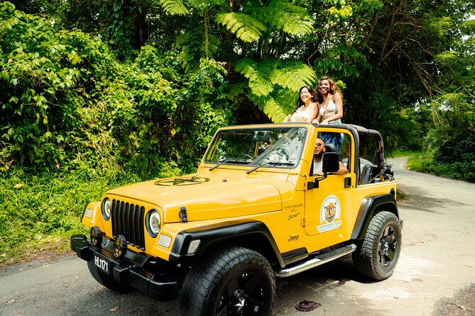 Half Day Private Tour in St. Lucia Jeep Wrangler - Marigot Bay: a quick view with room for photos