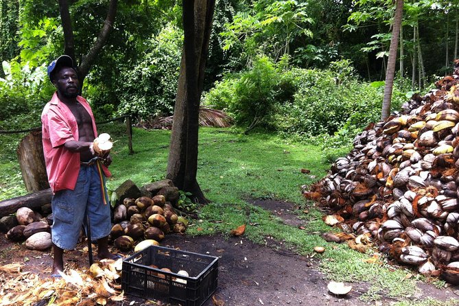 Historical 18th Century Estate Tour with Coconut Tasting - Coconut dehusking is the most memorable demonstration