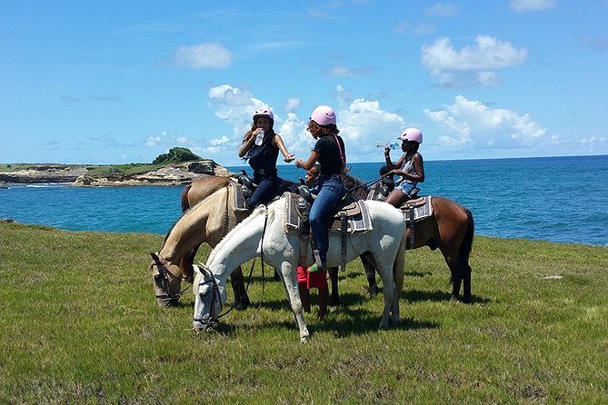 Horseback Riding Adventure Tour in St. Lucia - From Gros Islet trails to the Atlantic coast