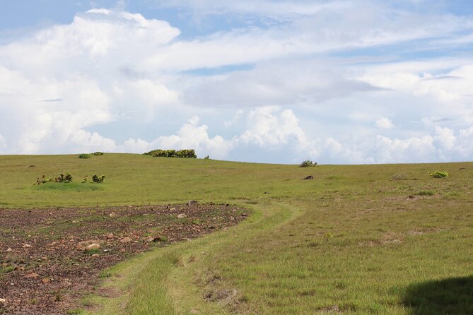 Horseback Riding Adventure Tour in St. Lucia - Bush Man, Resse, and the value of a private group