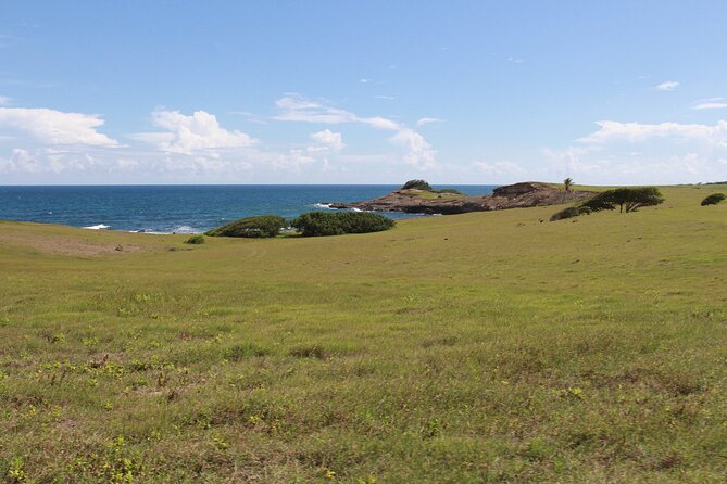 Horseback Riding Adventure Tour in St. Lucia - What the $153.85 price includes