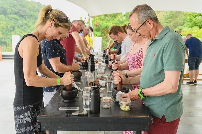 Hotel Chocolat Bean to Bar Experience in St. Lucia - Who will enjoy this St. Lucia chocolate experience?