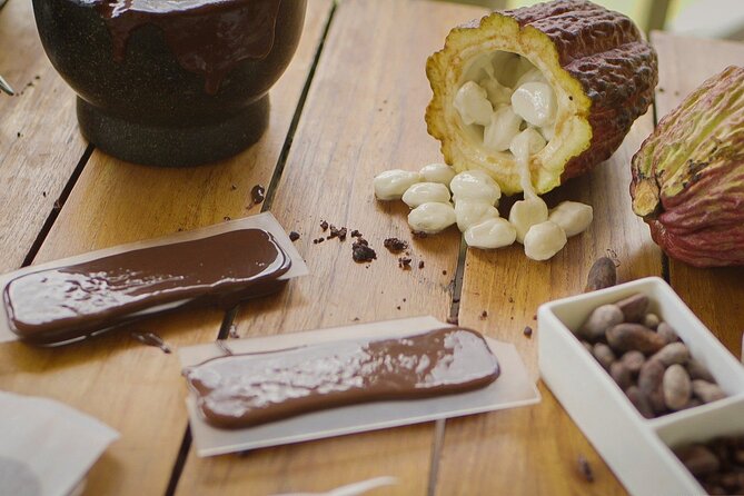 Hotel Chocolat Bean to Bar Experience in St. Lucia - Cacao groves and the grafting lesson