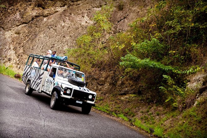 Jeep & Zip Safari St. Lucia From Castries - Key points to know before booking