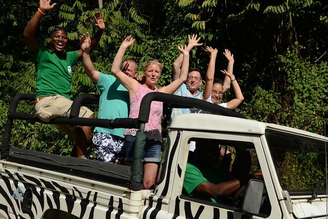 Jeep & Zip Safari St. Lucia From Castries - Why this half-day St. Lucia tour works