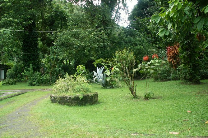 Magical Soufriere: A Tour of St Lucia - The Pitons and the approach to Soufriere