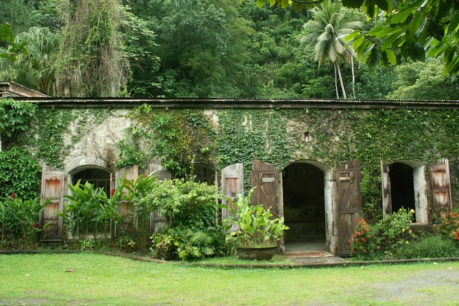 Magical Soufriere: A Tour of St Lucia - Diamond Falls and the tropical gardens