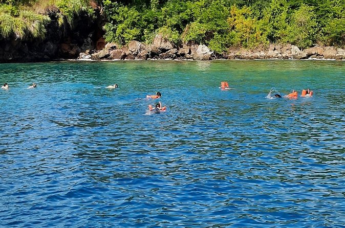 Mud bath and Waterfall with Snorkeling at Sugar beach - Who will enjoy this tour most